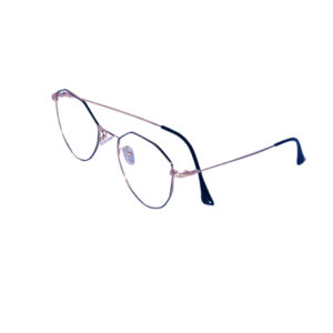 SLIVER HEXA METAL EYEGLASSES