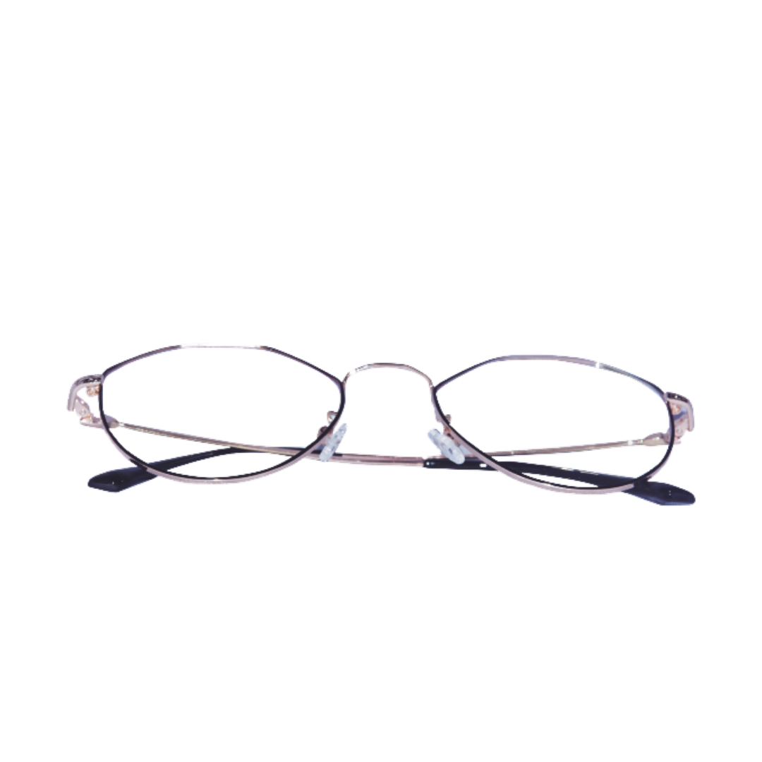 SLIVER HEXA METAL EYEGLASSES - Image 2