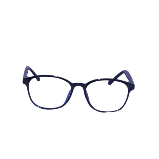 BLACK BLUE WAYFARER BLULENS